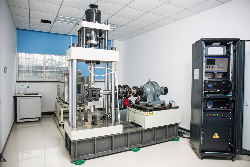 KNUCKLE-LAGER-SWING-TEST